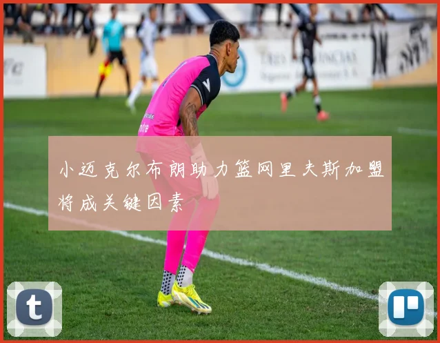 小迈克尔布朗助力篮网里夫斯加盟将成关键因素