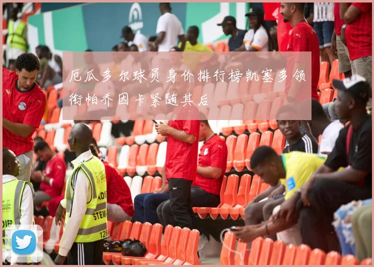 厄瓜多尔球员身价排行榜凯塞多领衔帕乔因卡紧随其后